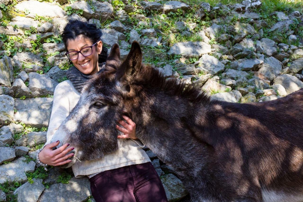 Agriturismo A Ca Vegia Calice Ligure المظهر الخارجي الصورة