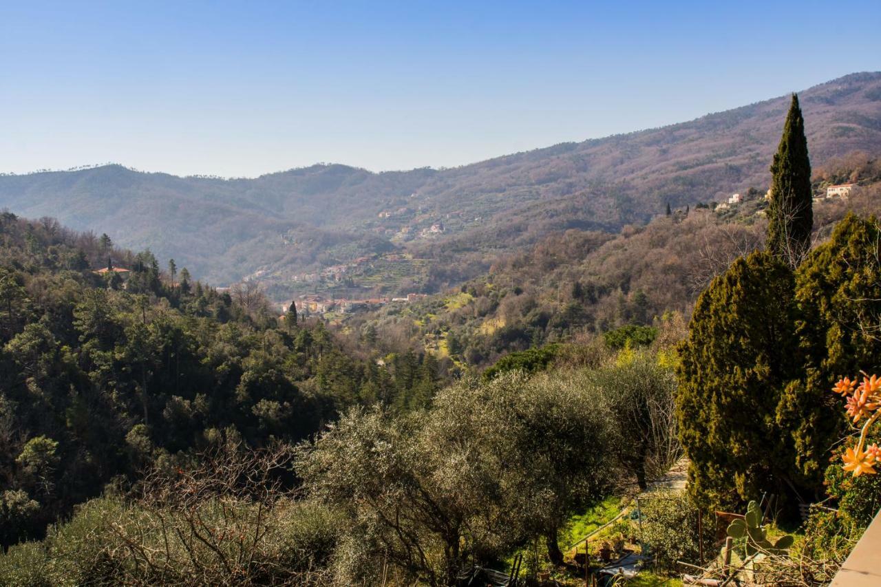 Agriturismo A Ca Vegia Calice Ligure المظهر الخارجي الصورة